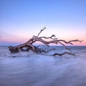 Meet your Posher, Sami